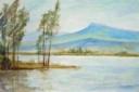 Lago di Massaciuccoli