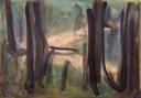 Nel bosco prima di San Chierlo